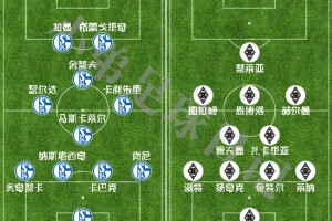 非凡体育平台- 沙尔克新帅变阵激活进攻体系  